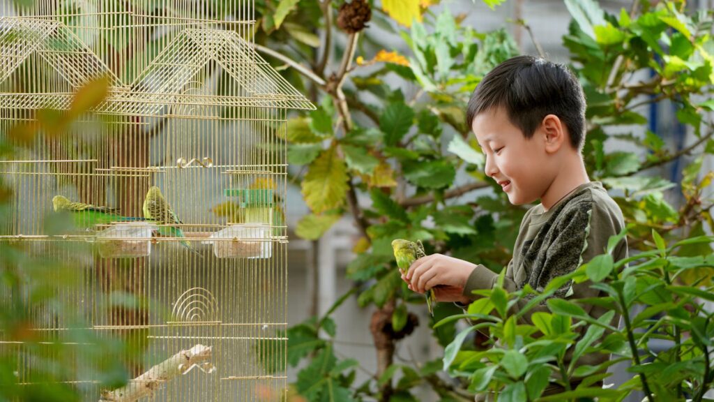 A joyful child interacts with pet birds in a vibrant outdoor setting, surrounded by greenery.