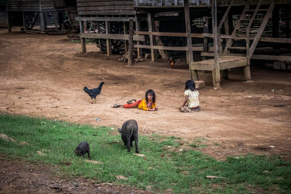 Two children playing in a rural setting with pigs and chickens nearby, capturing a simple lifestyle.