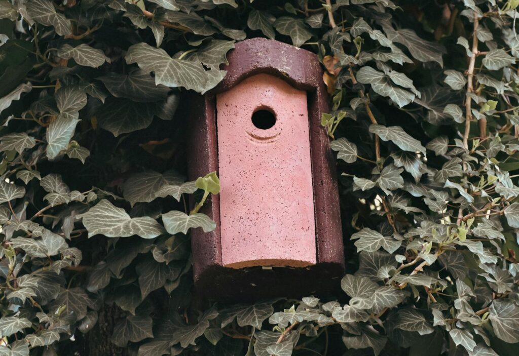 Cozy birdhouse nestled among lush ivy leaves, perfect for wildlife enthusiasts.