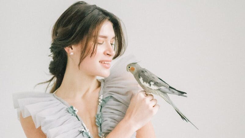 Stylish woman with a parrot, captured in a bright studio environment.