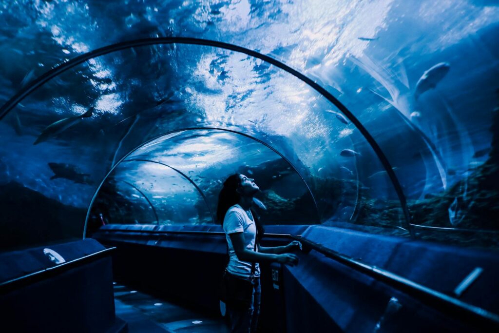 A woman observing marine life in an underwater tunnel, captivating aquarium experience.