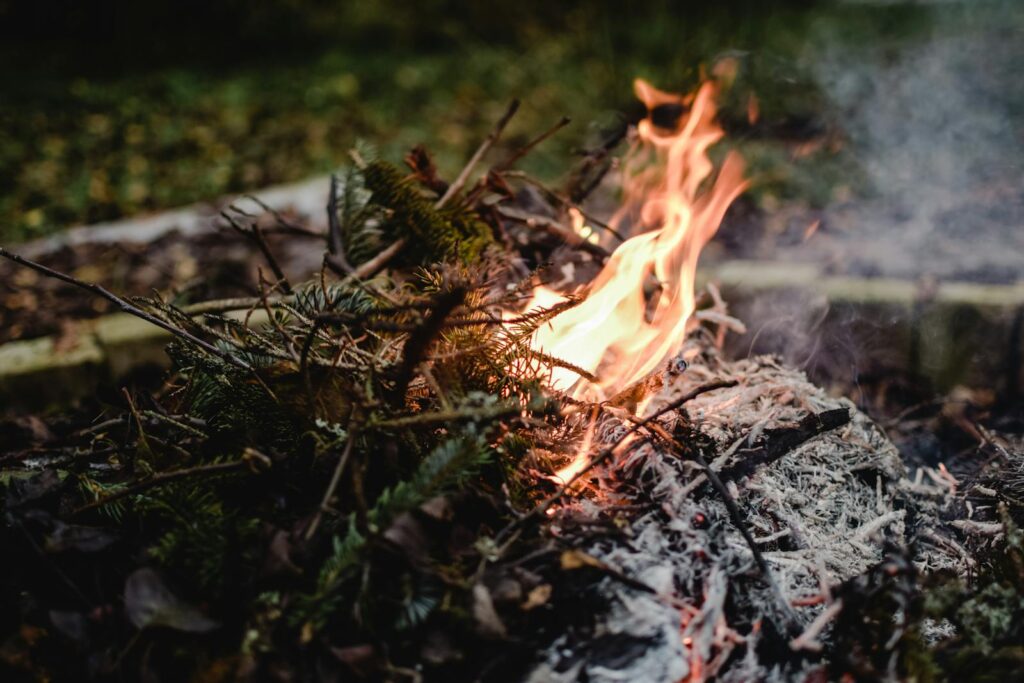 Close-up of a bonfire with burning branches and smoke in an Estonian forest setting.