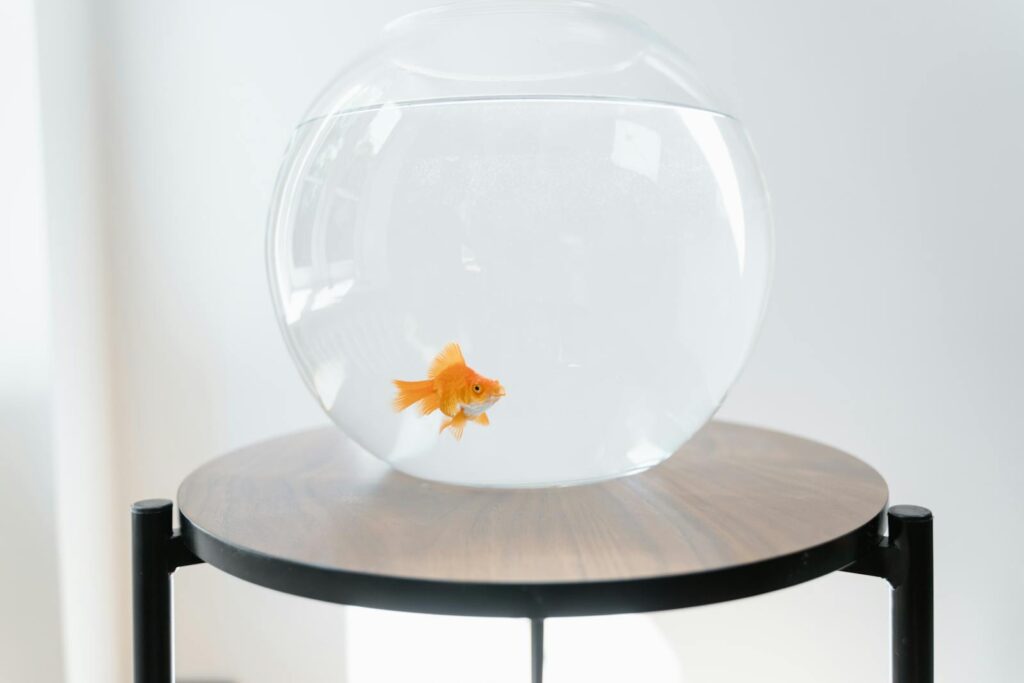 A solitary goldfish swims in a clear glass bowl placed on a minimalist wooden table indoors.
