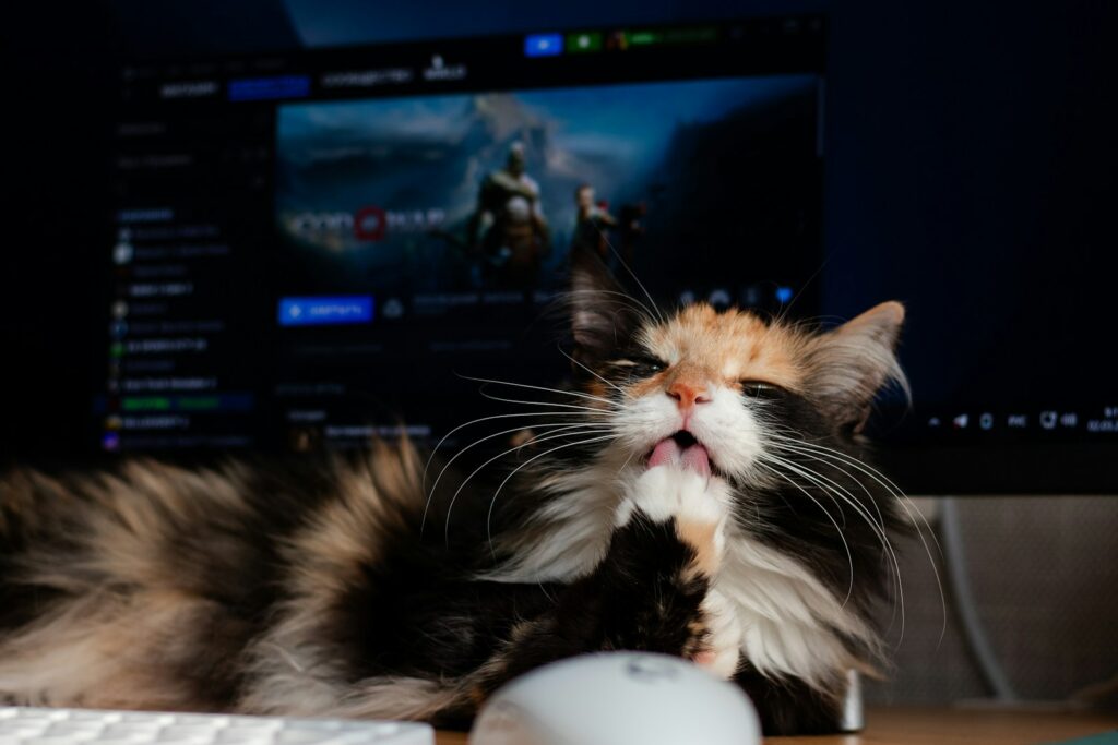 A cat laying on top of a desk next to a computer