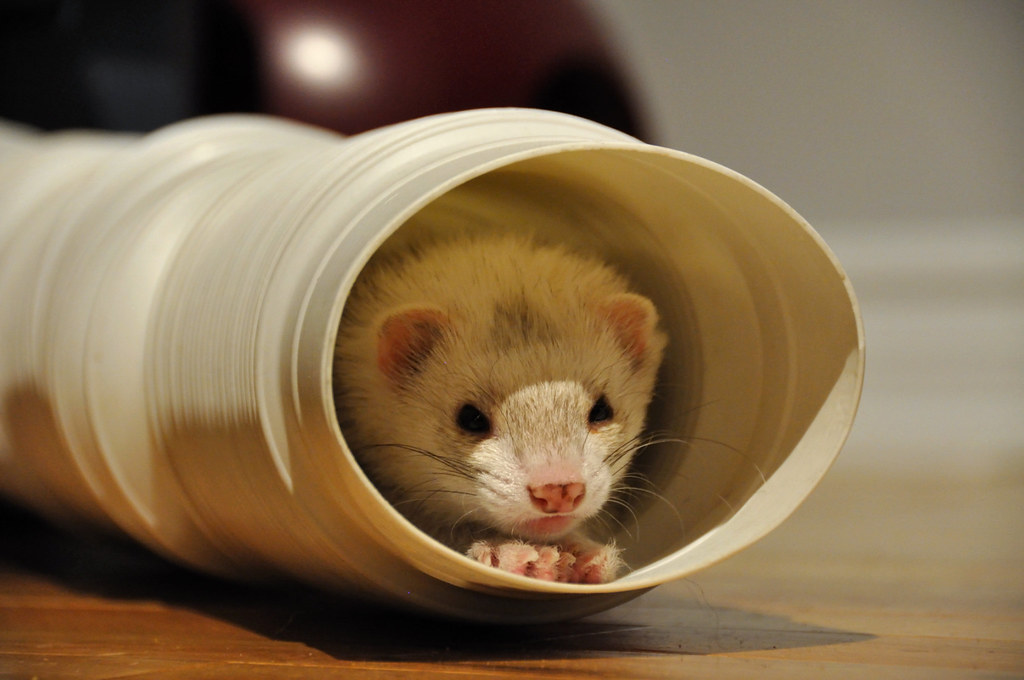 Creating an Engaging Tunnel System