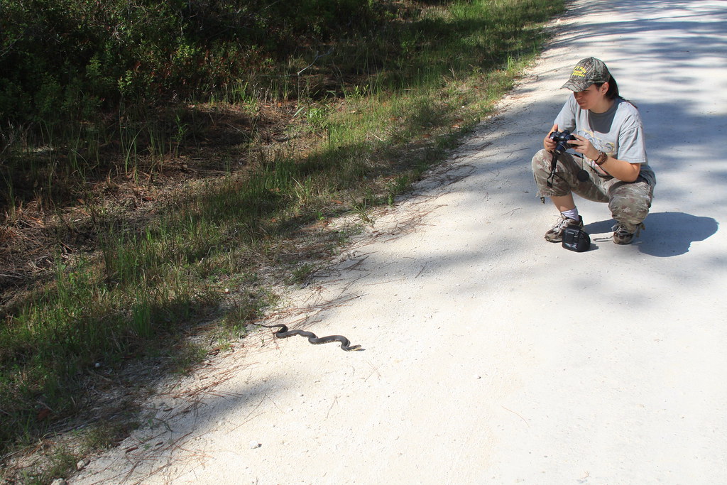 Participate in Citizen Science Projects
