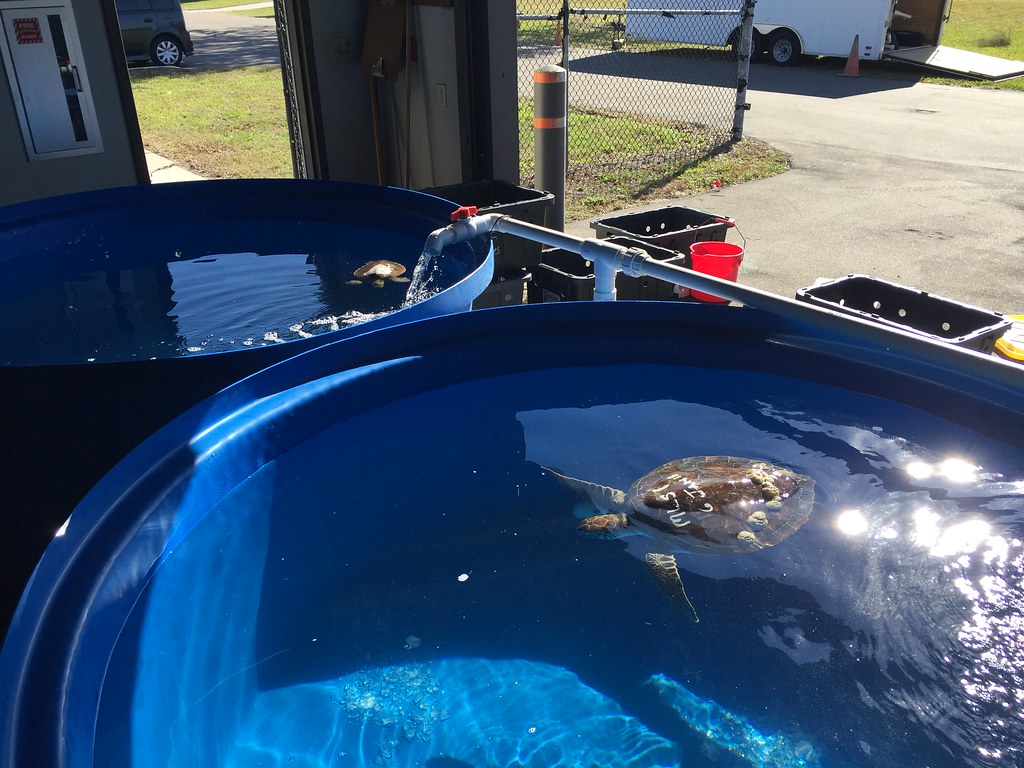 Investing in a Quality Filtration System