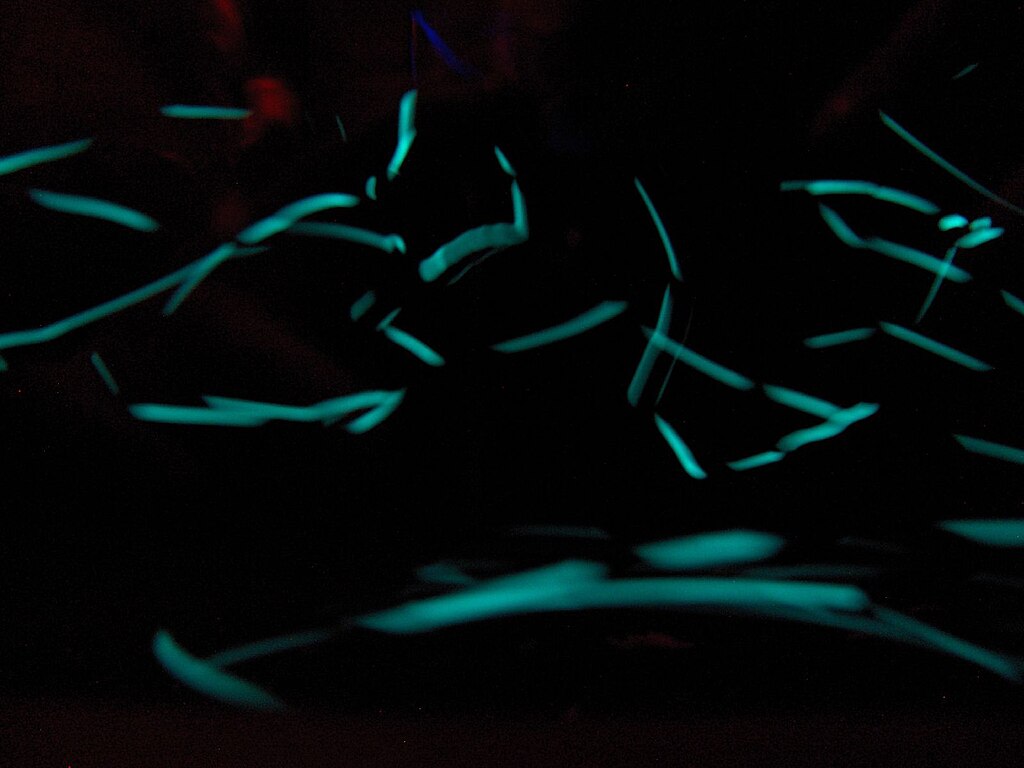 flashlight fish
