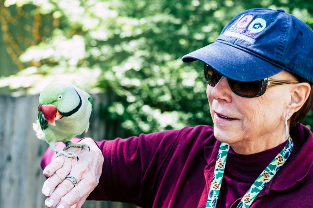 Smiling woman interacts with vibrant parrot at outdoor zoo exhibit, showcasing friendship and excitement.
