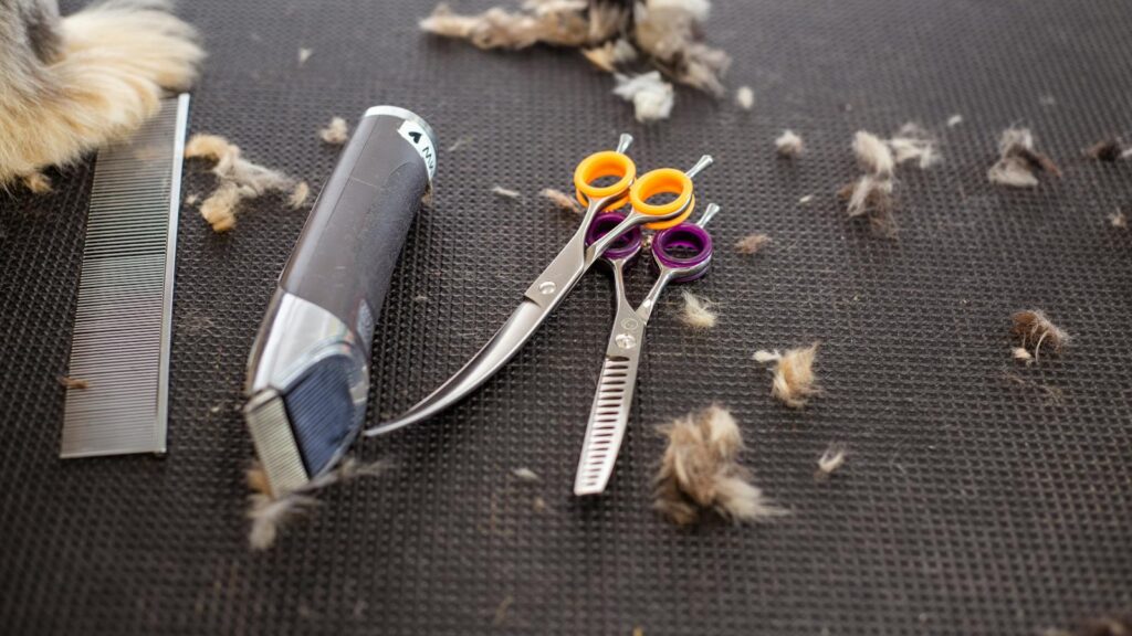 Close-up of grooming tools including scissors, trimmer, and pet fur on a black mat.