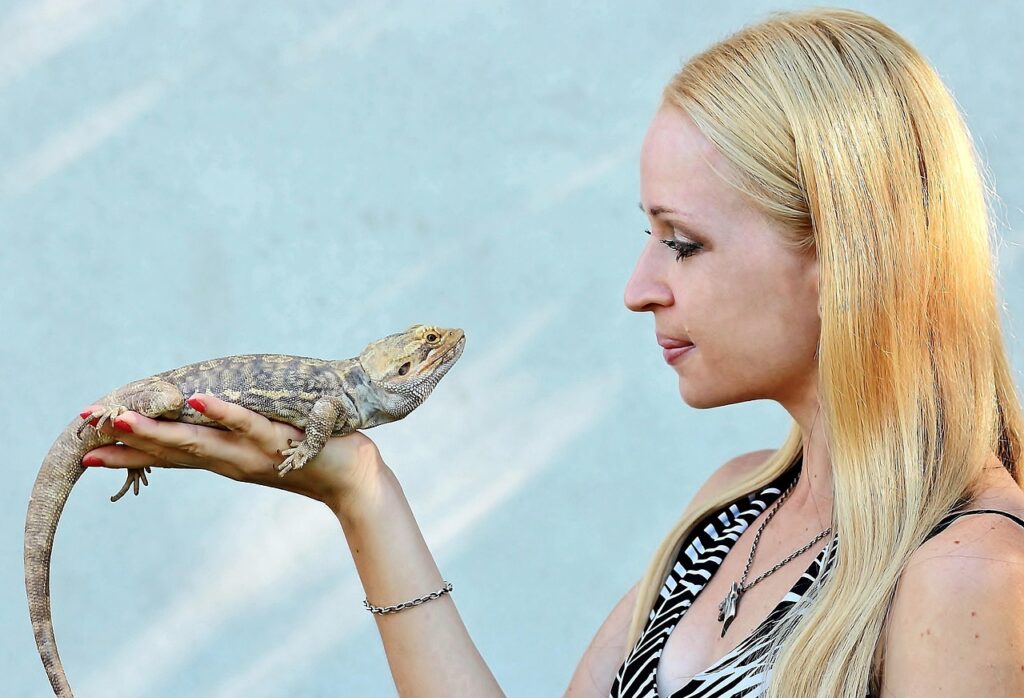 The Reptilian Brain: Different But Sophisticated