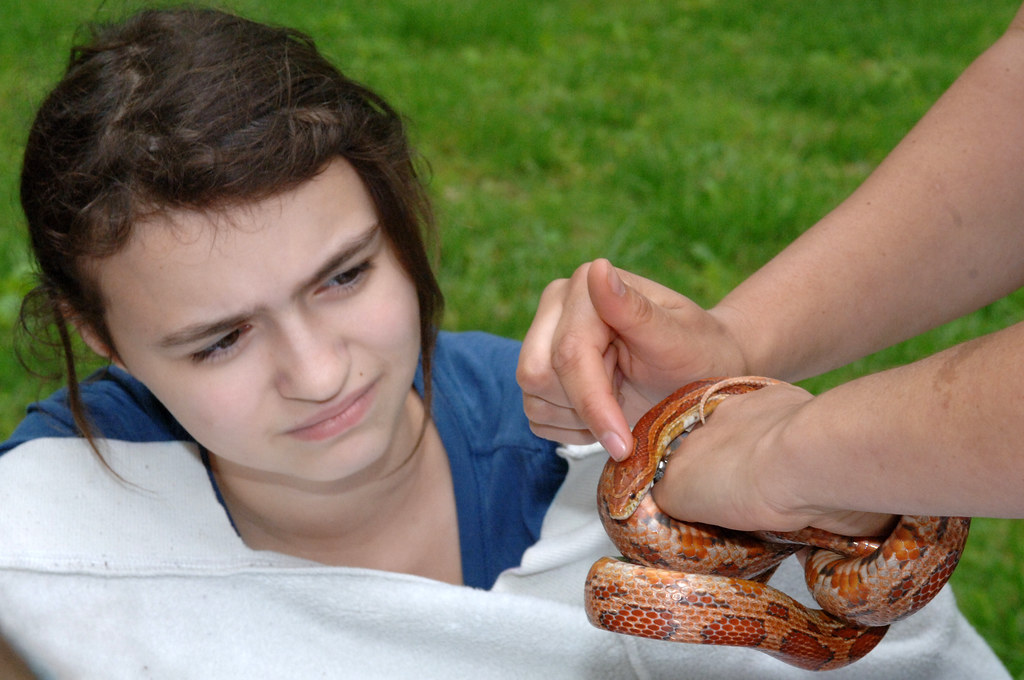 Demonstrating Proper Handling Techniques