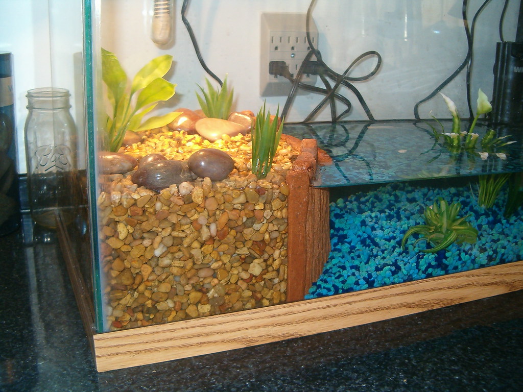 Choosing the Right Tank Size