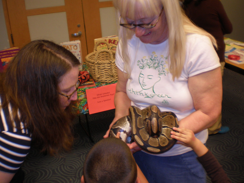 The Future of Understanding Reptile Cognition