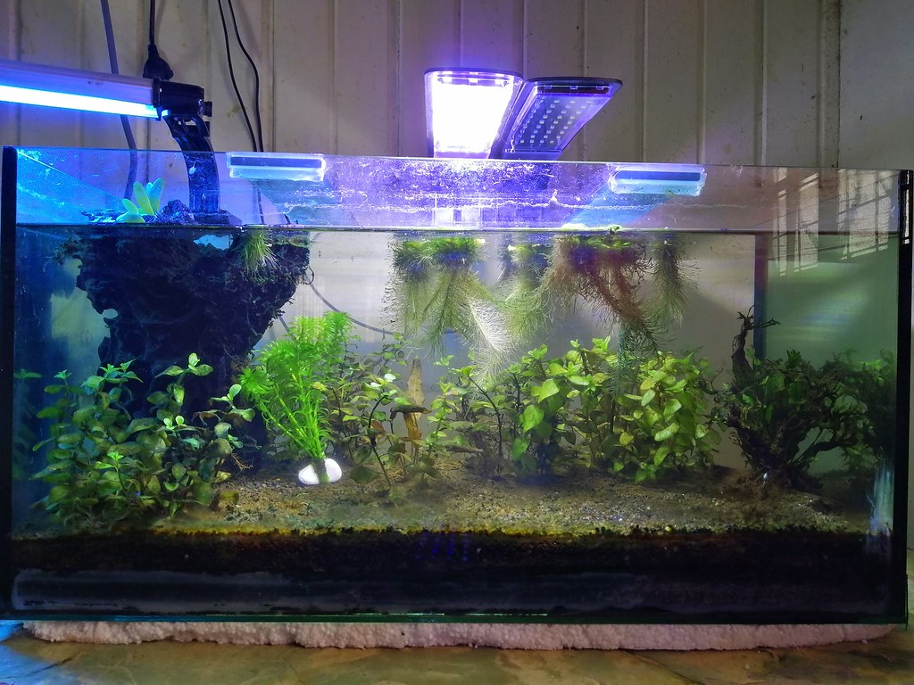 Filter Selection: Matching Technology to Tank Needs