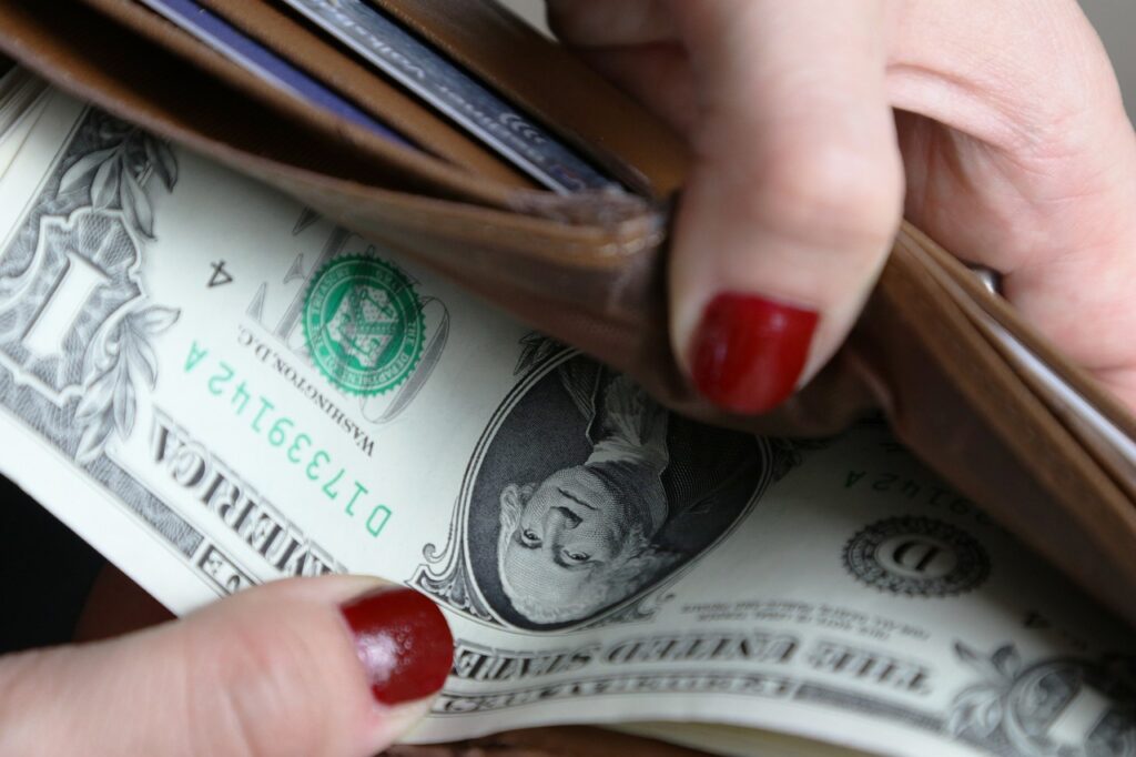 dollar, money, wallet, finance, currency, wealth, financial, cash, rich, funds, income, investments, us-dollar, financial world, wallet, wallet, wallet, wallet, wallet, financial, income