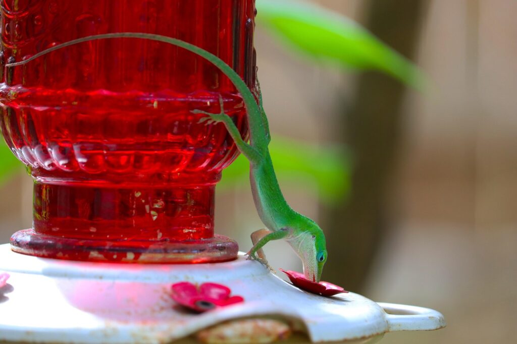 Cognitive Challenges: Lizard Puzzle Toys