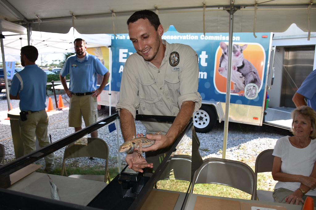 man handling a bearded dragon