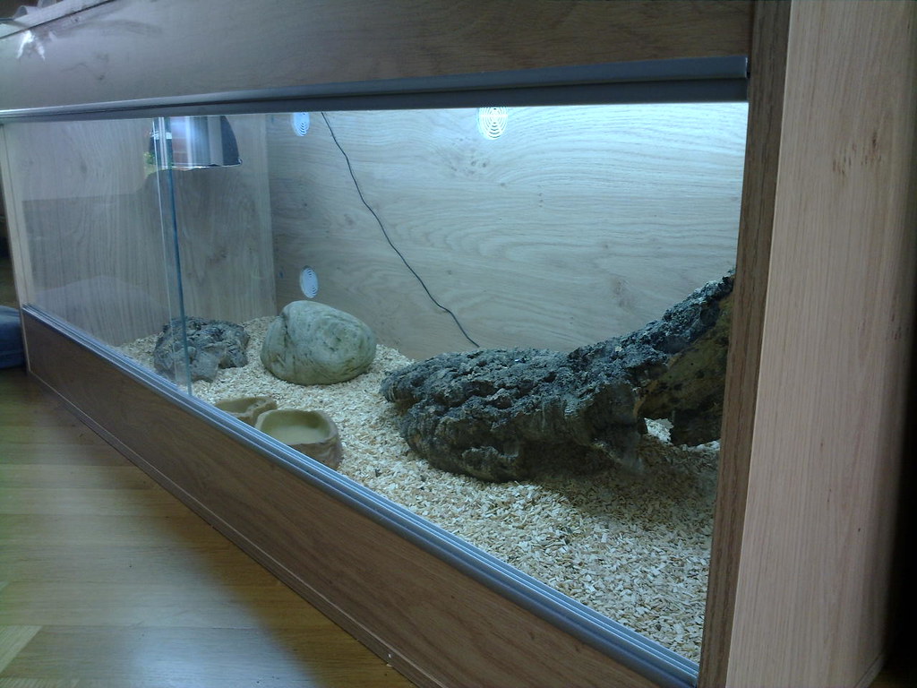 Troubleshooting Common Vivarium Issues