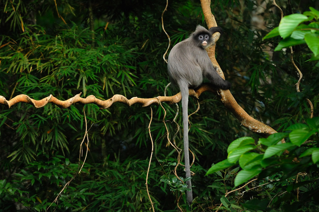 Creating a Sustainable Future for Wildlife Facilities