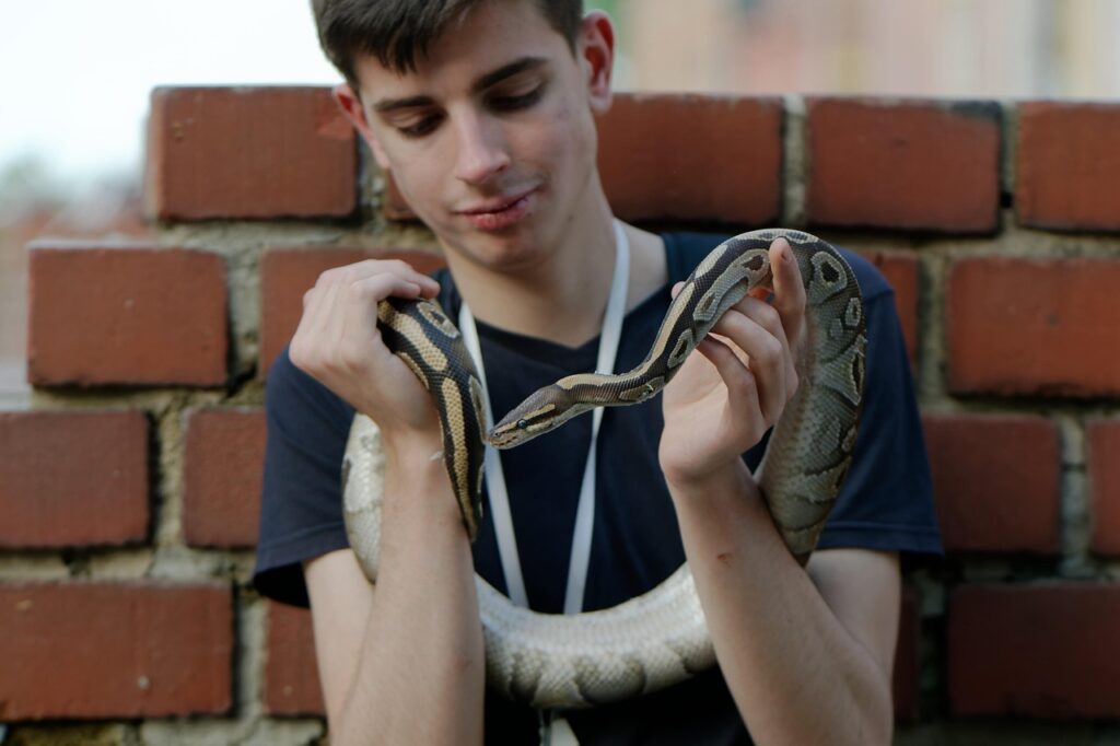 young man, snake, pet, reptile, busker, casual, lifestyle