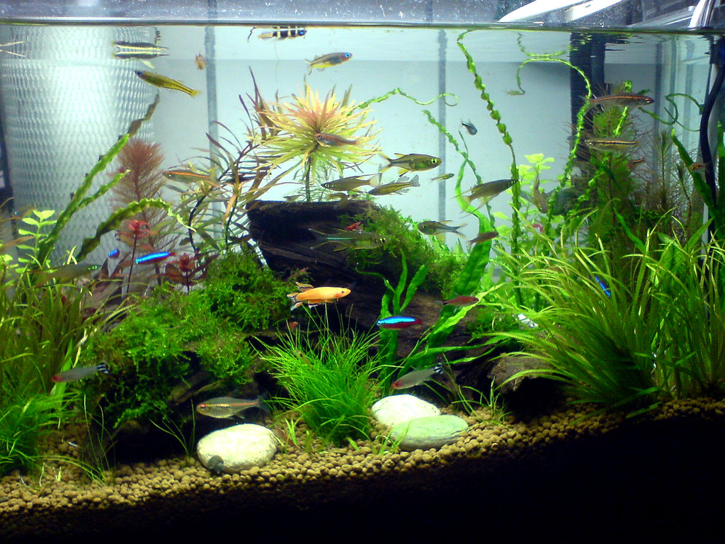 Substrate: More Than Just Decoration