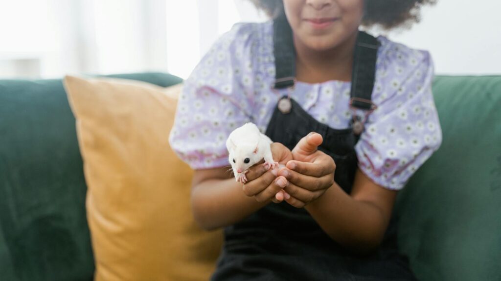 A smiling girl gently holding a sugar glider on a sofa indoors, showcasing a moment of joy and curiosity.