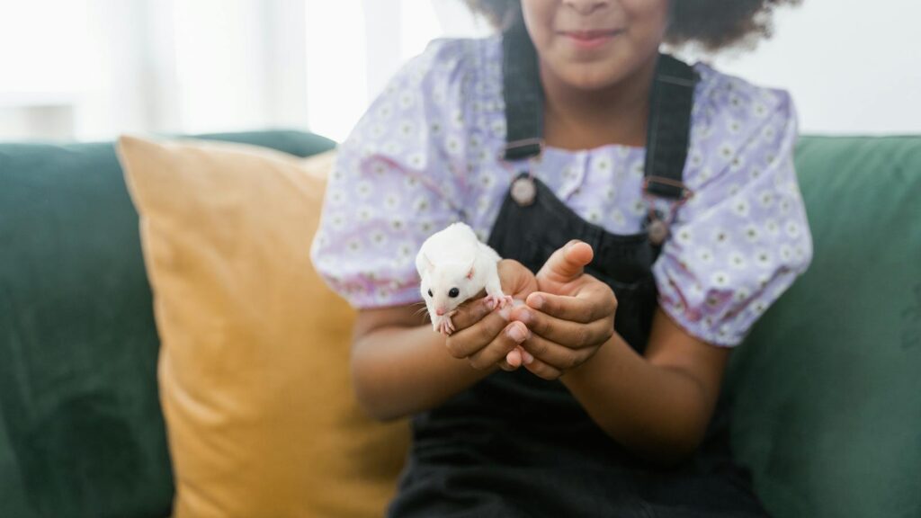 A smiling girl gently holding a sugar glider on a sofa indoors, showcasing a moment of joy and curiosity.