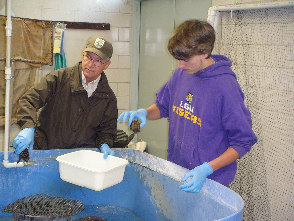 Water Quality Management