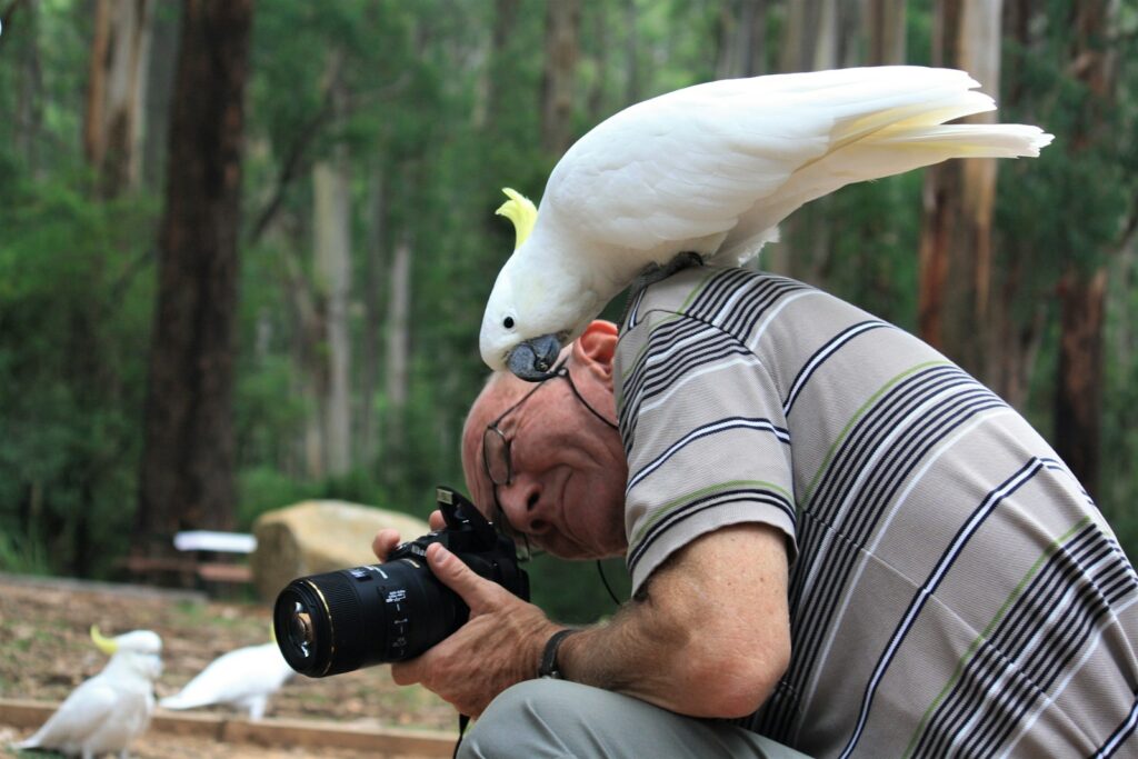 man in white and brown stripe polo shirt with a cockatoo on his back