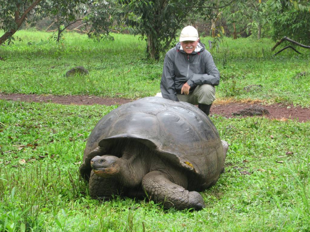 The Emotional Journey of Tortoise Guardianship