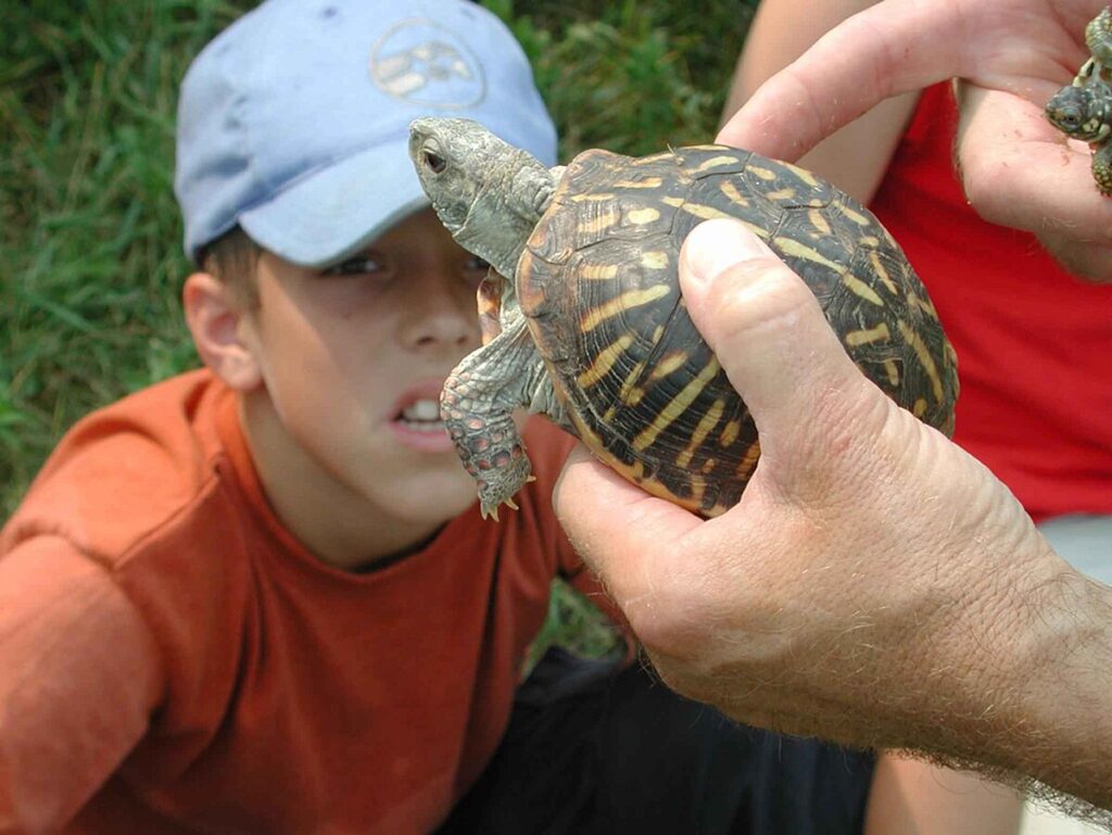 Captive Care Considerations