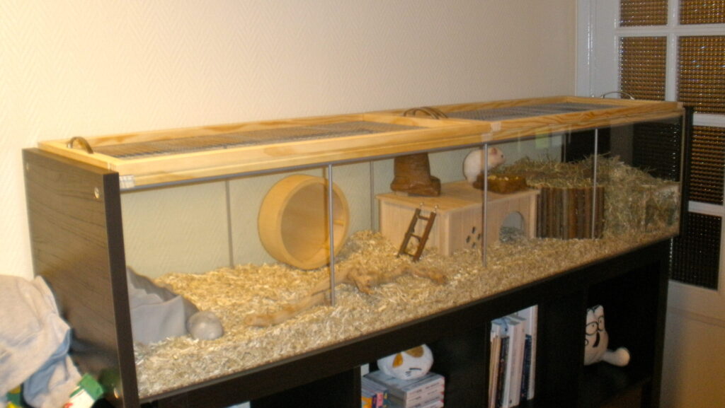 A spacious hamster enclosure with glass sides, a wooden top with mesh ventilation, a running wheel, houses, and bedding.