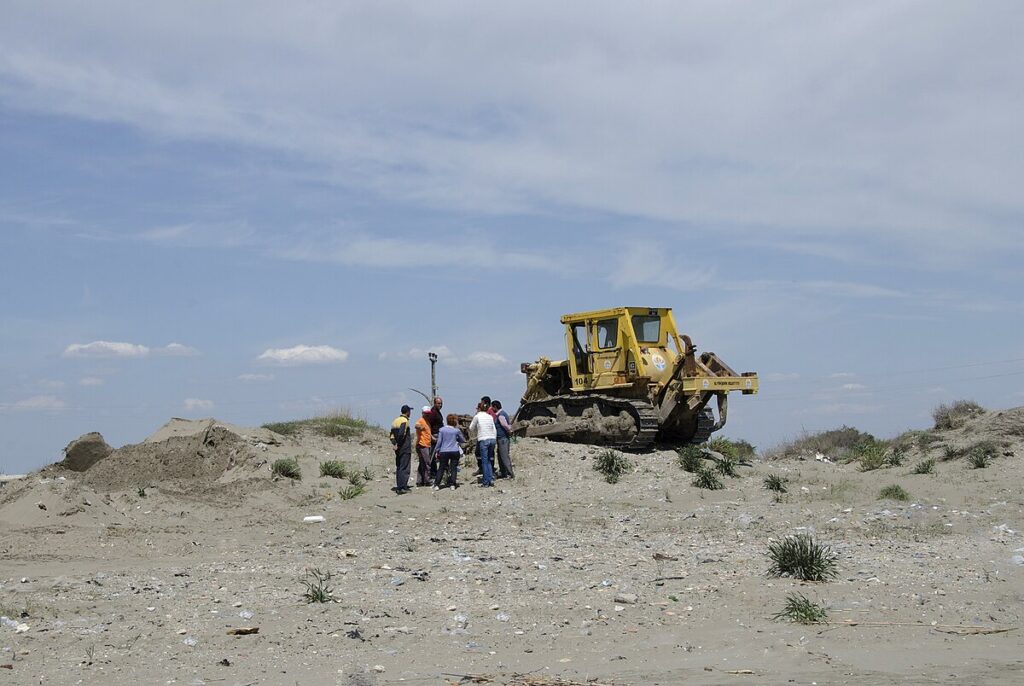 Habitat Destruction: The Primary Threat