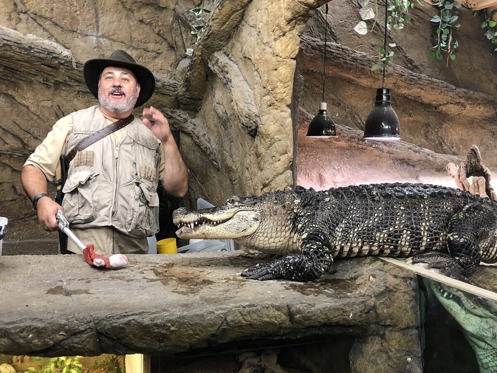 Zoos and Ex-Situ Conservation