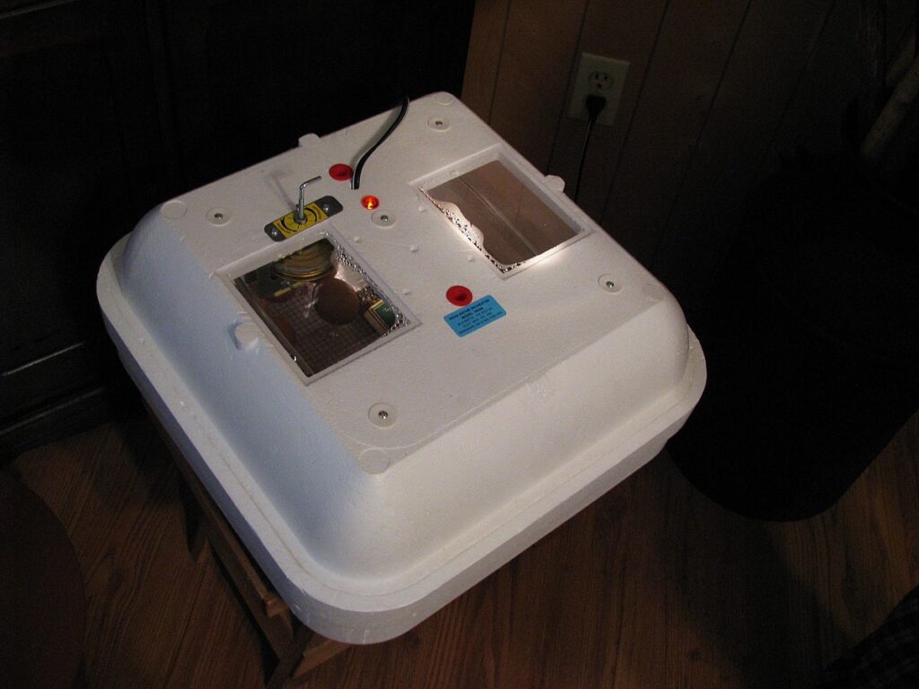 Preparing for Egg Incubation or Neonate Care