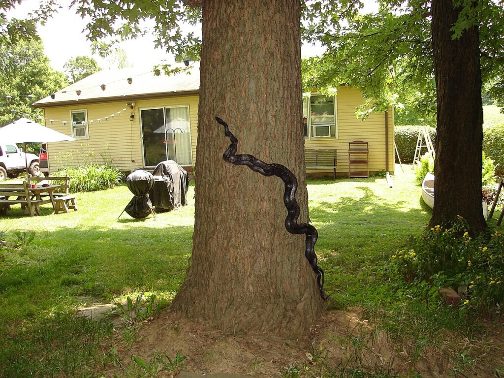 Preventative Measures for Unwanted Encounters