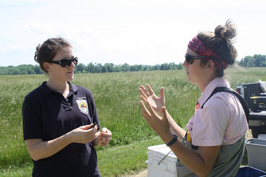 Educate Others About Reptile Conservation