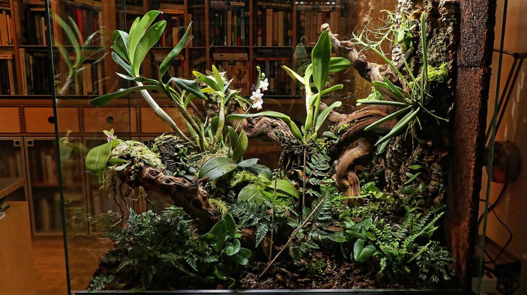 Adding Live Plants and Natural Elements
