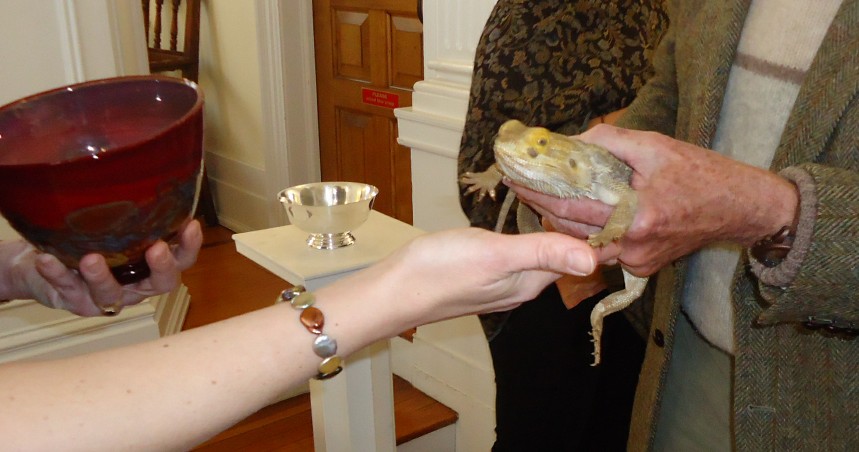 Travel and Vacation Planning for Reptile Owners