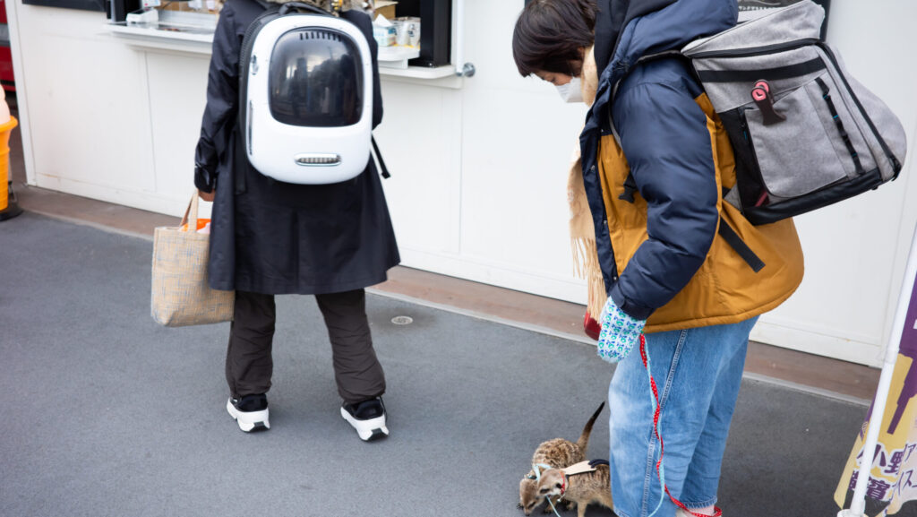 A person wearing a stylish pet backpack with a clear bubble window for small animals in an urban setting.