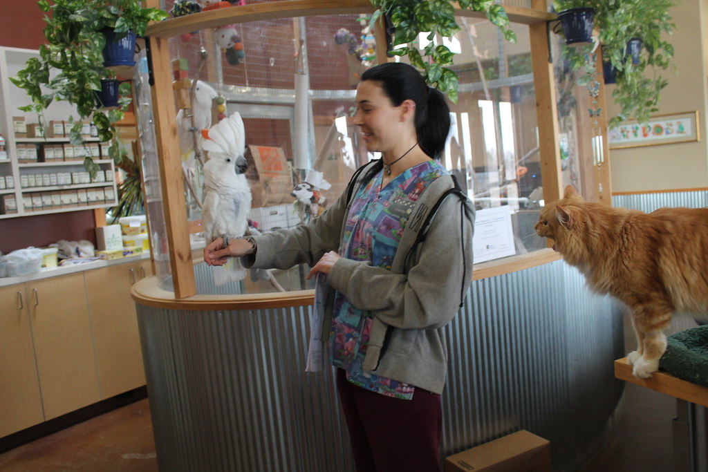 Understanding the Purpose of an Indoor Aviary