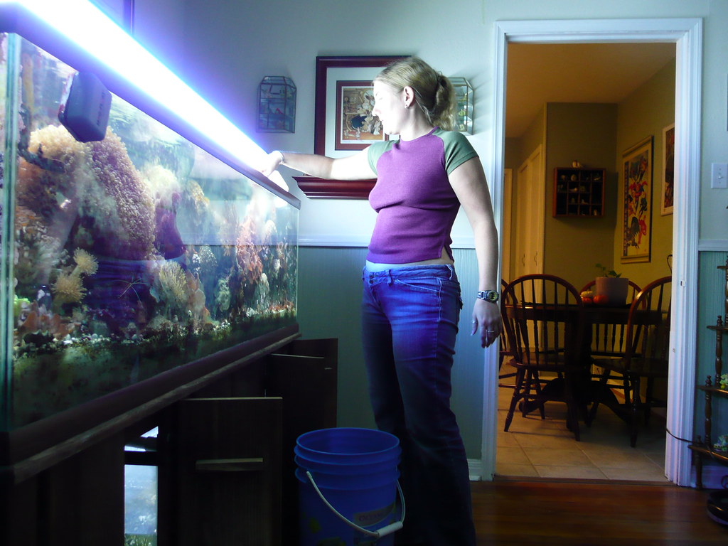 Water Change Strategies for Minimal Intervention