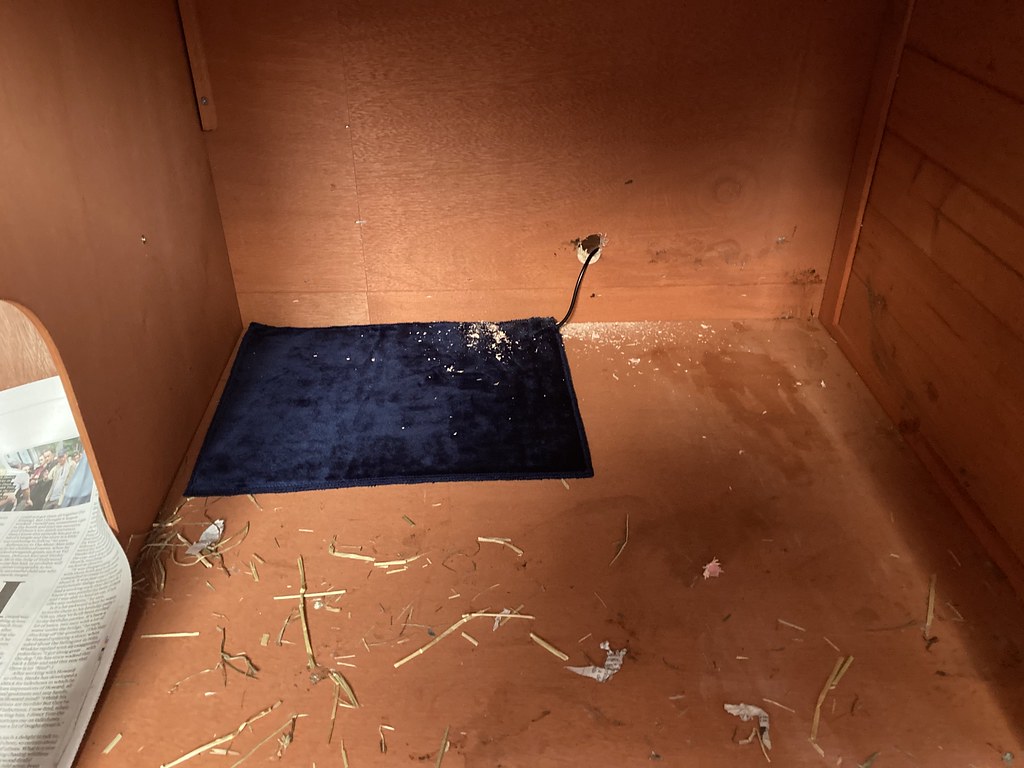Heat Mats and Under-Tank Heaters: Understanding the Risks