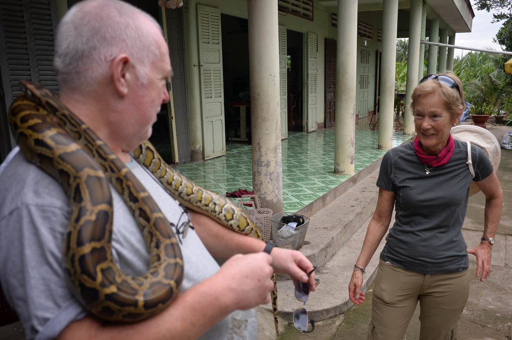 Misinterpreting Snake Behavior