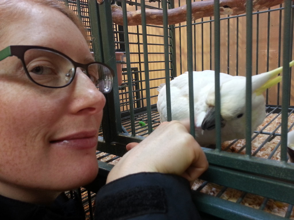 The Role of Primary Caregiver