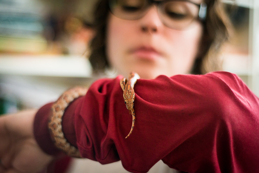 Conservation Awareness Through Ownership