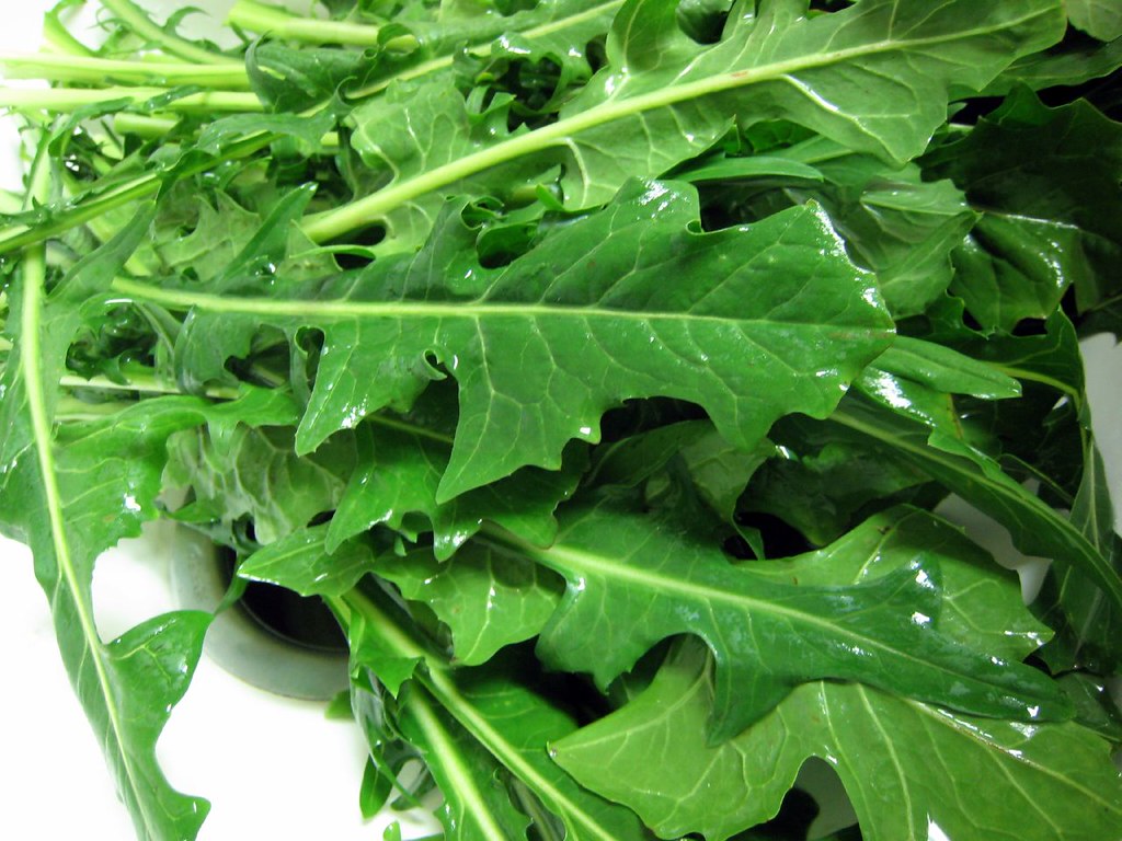 Leafy Green Treats for Herbivorous Species