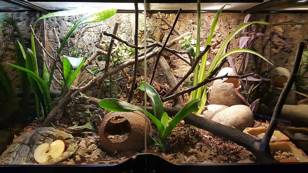 Captive Care Requirements