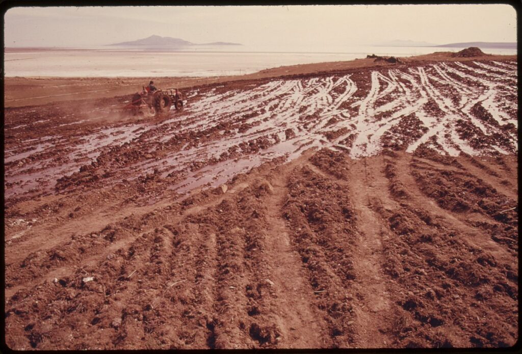Pollution and Water Quality Issues